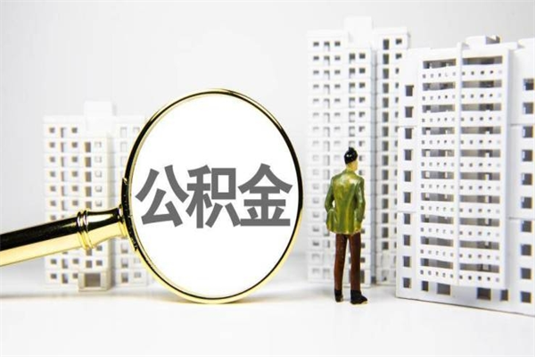 深圳公积金（深圳公积金缴存比例）